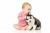 الكلب والطفل: قواعد التكيف المتبادل