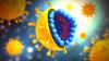 التهاب الكبد الوبائي: كيفية تجنب العدوى؟