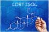 الحقيقة الكاملة حول الكورتيزول: كيفية دعم هذا الهرمون الرئيسي في الجسم