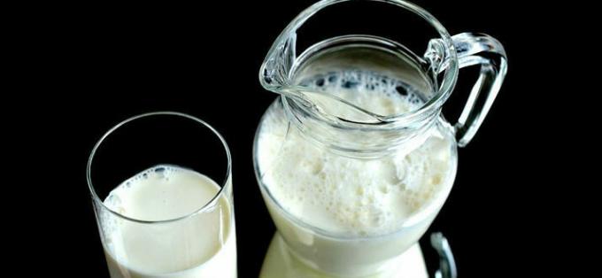 الحليب - الحليب