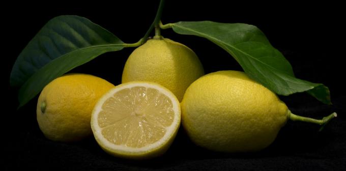 الليمون - الليمون
