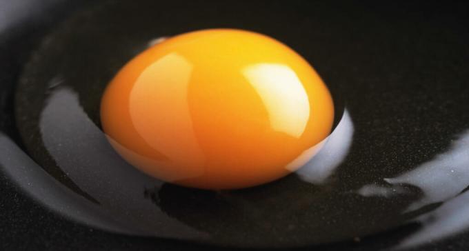 البيض - بياض بيضة