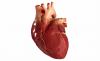 3 العوامل الرئيسية التي تسبب أمراض القلب