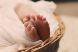 كيف تقرر أن تصبح طفلاً: طقوس وراء تواريخ ولادة باتكيف