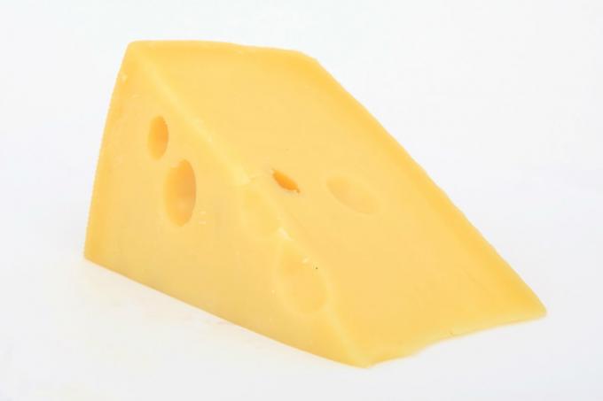 الجبن - الجبن