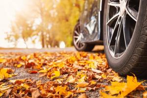 تحذير ، الخريف: أهم 9 نصائح للسائقين يمكن أن تنقذ الأرواح