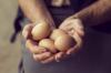 كل ما تريد معرفته عن بيض الدجاج: 5 حقائق أساسية